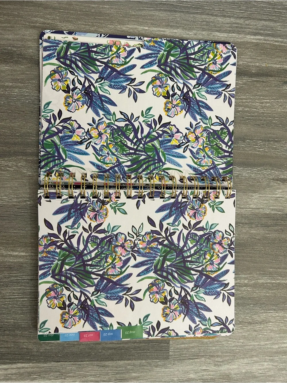 NWT Lilly Pulitzer 17 month agenda 2025 / 2026